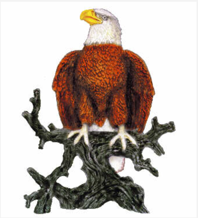 NM - 2522 Eagle on Branch (No Stick Ons)