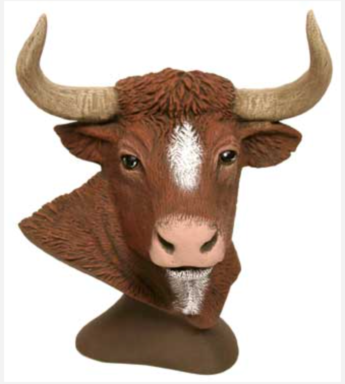 NM - 3232 Bull Bust