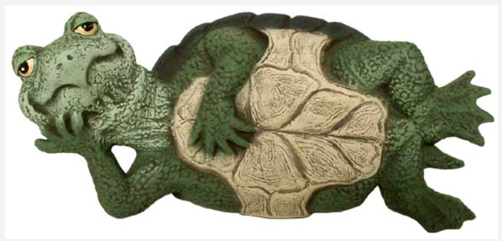 NM - 3242 Turtle with Attitude Laying on Side