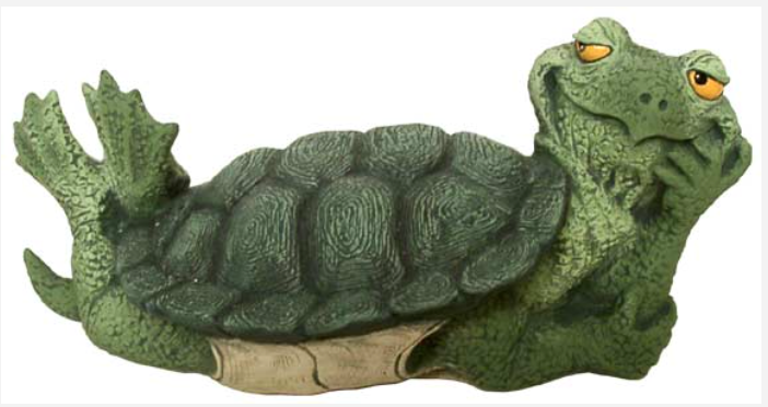 NM - 3243 Turtle with Attitude Laying on Belly