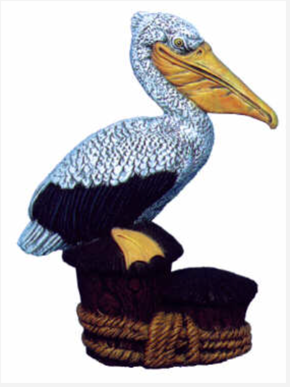 NM - 2196 Pelican