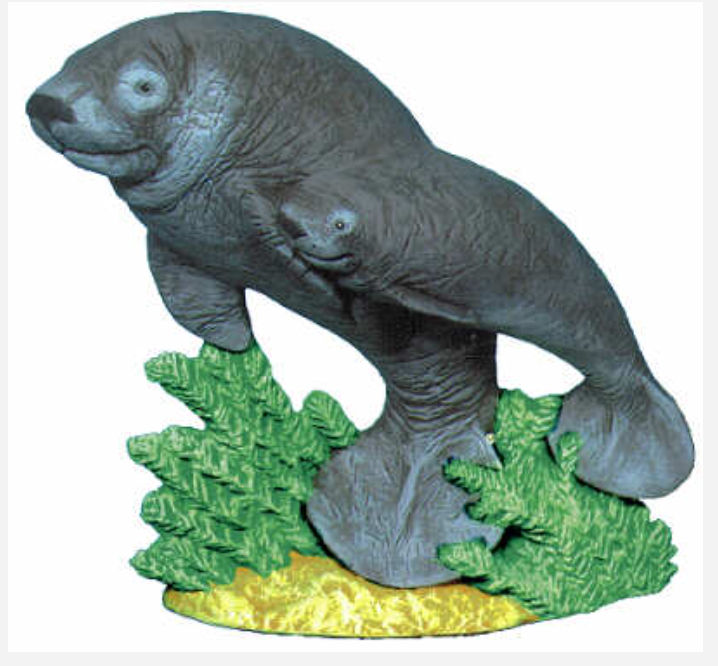 NM - 2199 Manatee & Calf