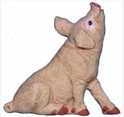 NM - 2543 Pig Sitting Nose Up