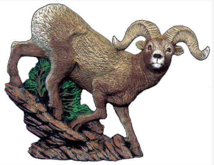 NM - 2596 Big Horned Sheep