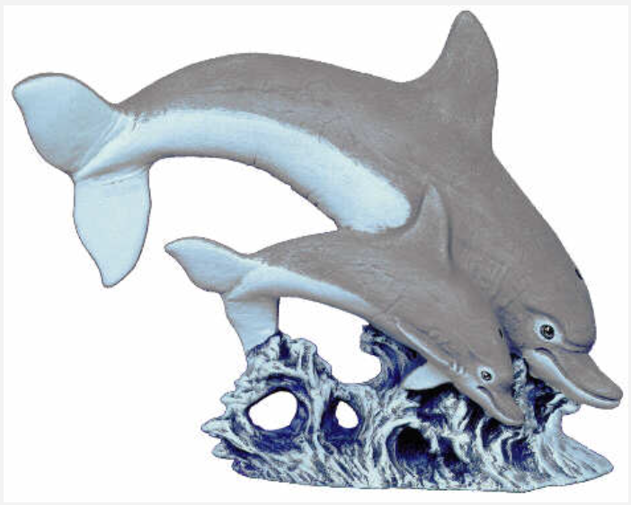 NM - 2625 Dolphins