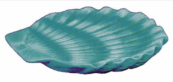 NM -2626 Shell Dish