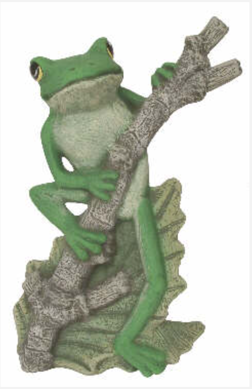 NM - 2922 Tree Frog on Branch