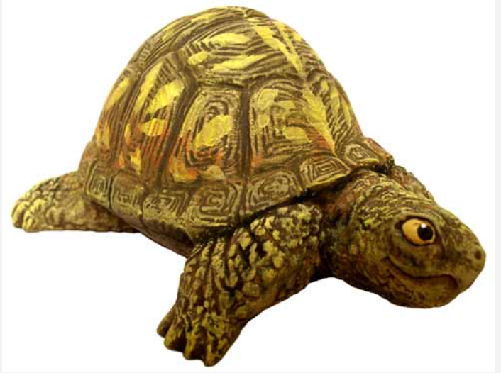 NM - 3258 Box Turtle (Small), Head Out