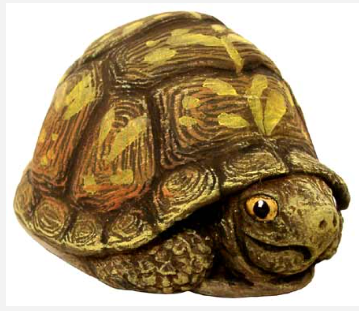 NM - 3259 Box Turtle (Small), Peeking Out