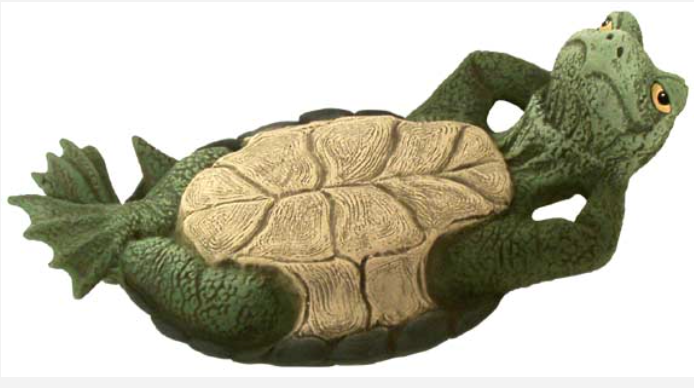 NM  - 3240 Turtle with Attitude on Back