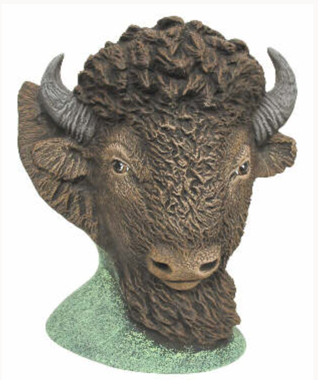 NM - 2918 Buffalo Bust