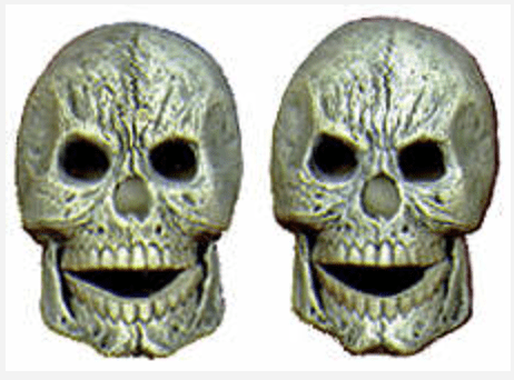 NM - 2133 Skulls (Medium) - Backwoods Ceramics and Molds