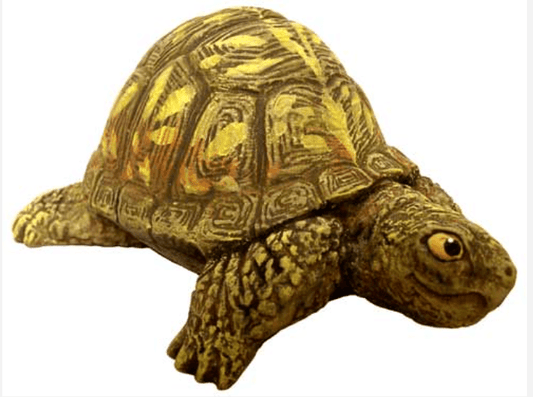 NM - 3258 Box Turtle (Small), Head Out - Backwoods Ceramics and Molds