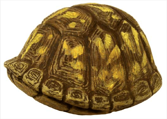 NM - 3260 Box Turtle (Small), Closed Up - Backwoods Ceramics and Molds